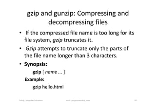 unit- 2.pdf Handling ordinary file and file attribute | PDF