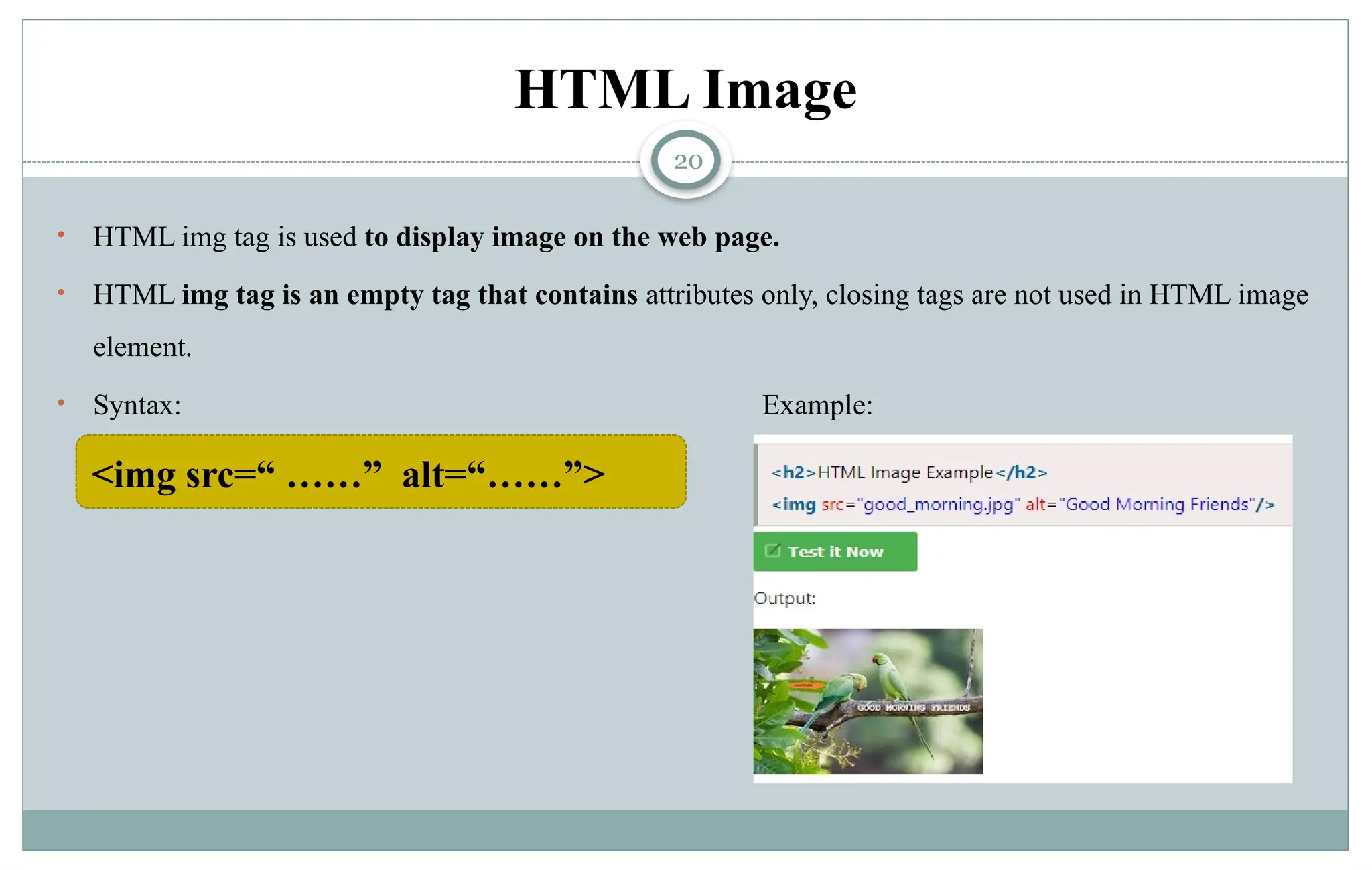 20
HTML Image
• HTML img tag is used to display image on the web page.
• HTML img tag is an empty tag that contains attributes only, closing tags are not used in HTML image
element.
• Syntax: Example:
<img src=“ ……” alt=“……”>
 