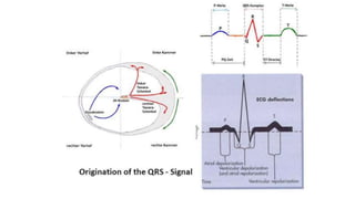 Biosignal: ECG, EEG and EMG | PPTX