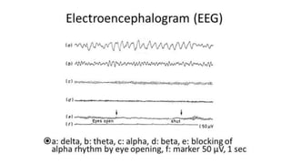 Biosignal: ECG, EEG and EMG | PPTX