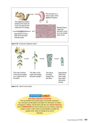 A cell is the fundamental structural, functional, and biological unit ...
