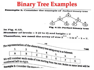 Binary Tree Examples
 