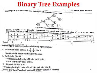 Binary Tree Examples
 
