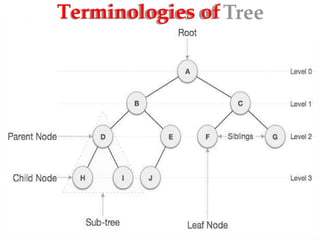 Terminologies of
Tree
 