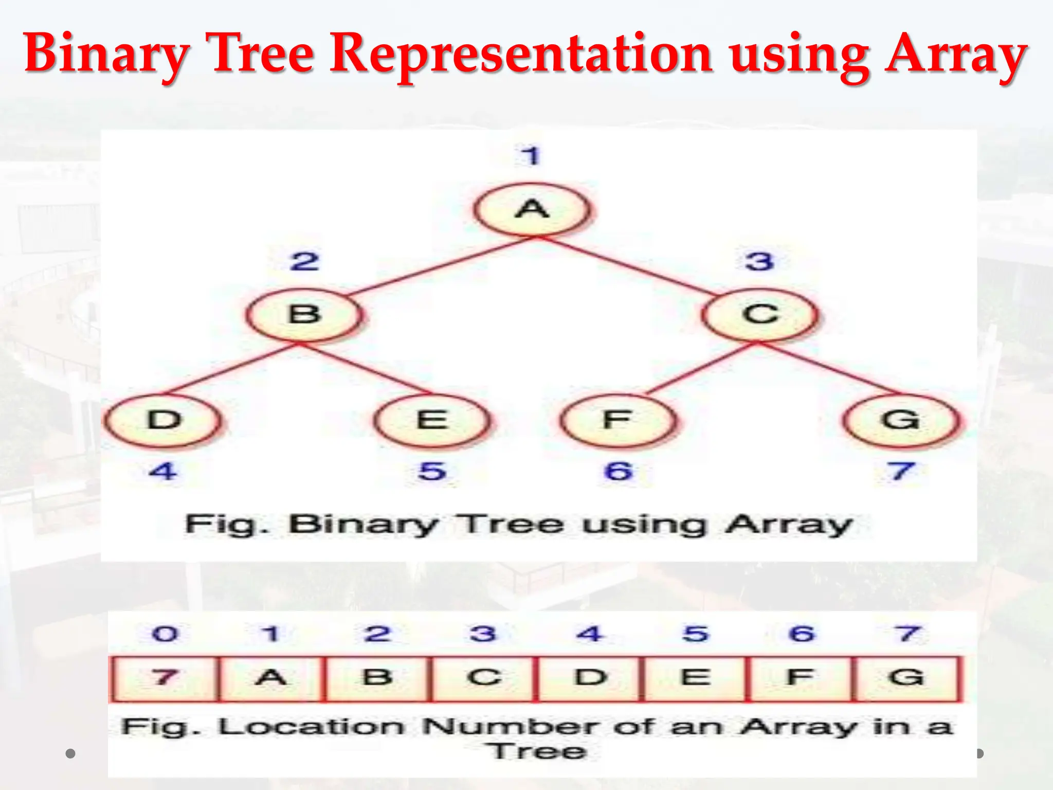 Binary Tree Representation using Array
 