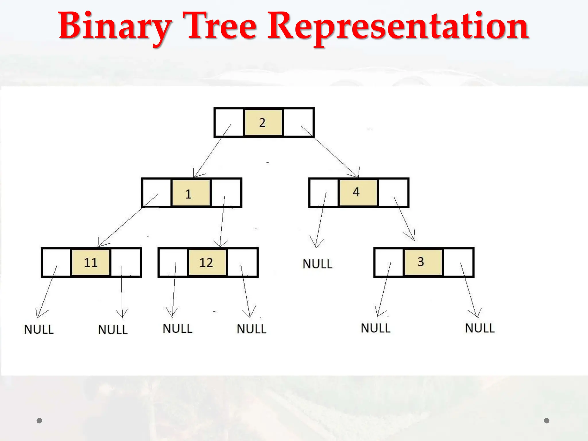 Binary Tree Representation
 