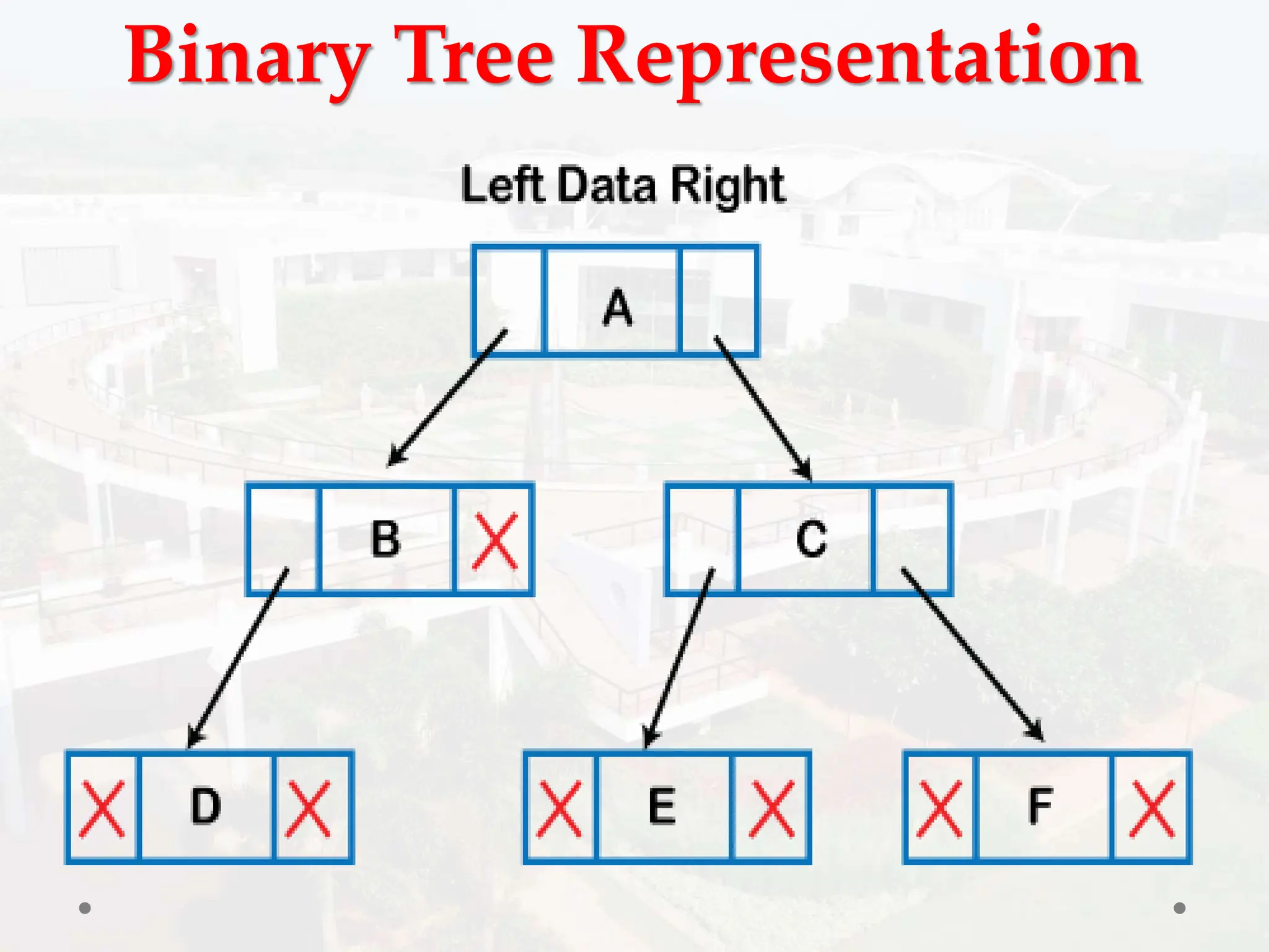Binary Tree Representation
 