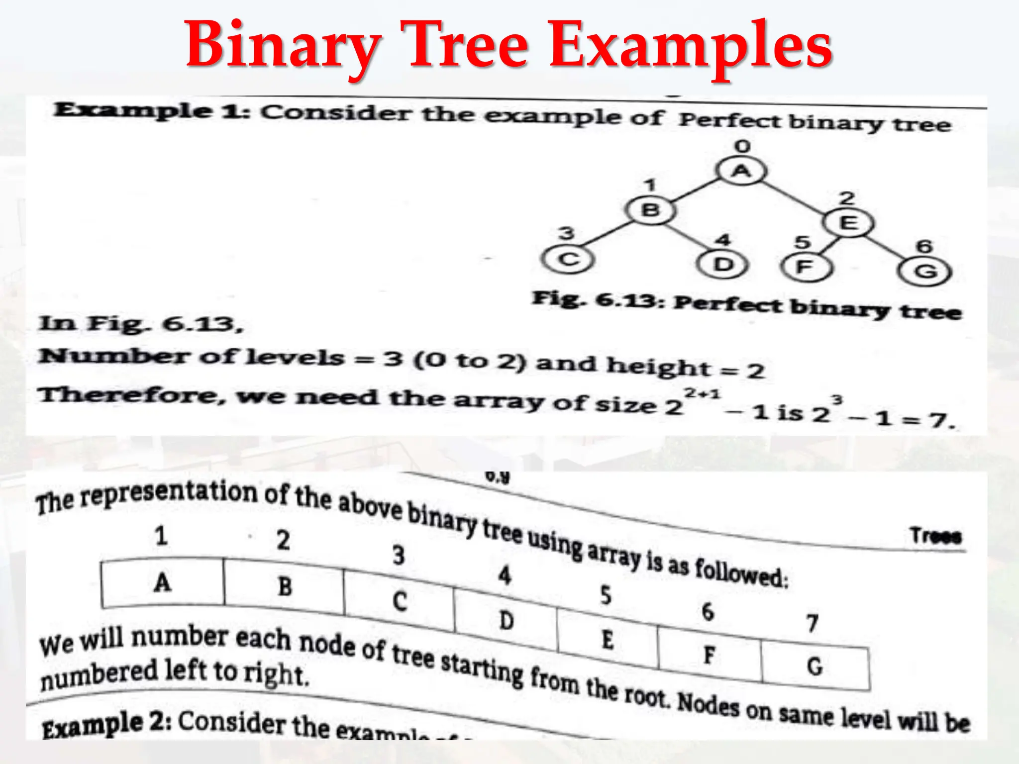 Binary Tree Examples
 