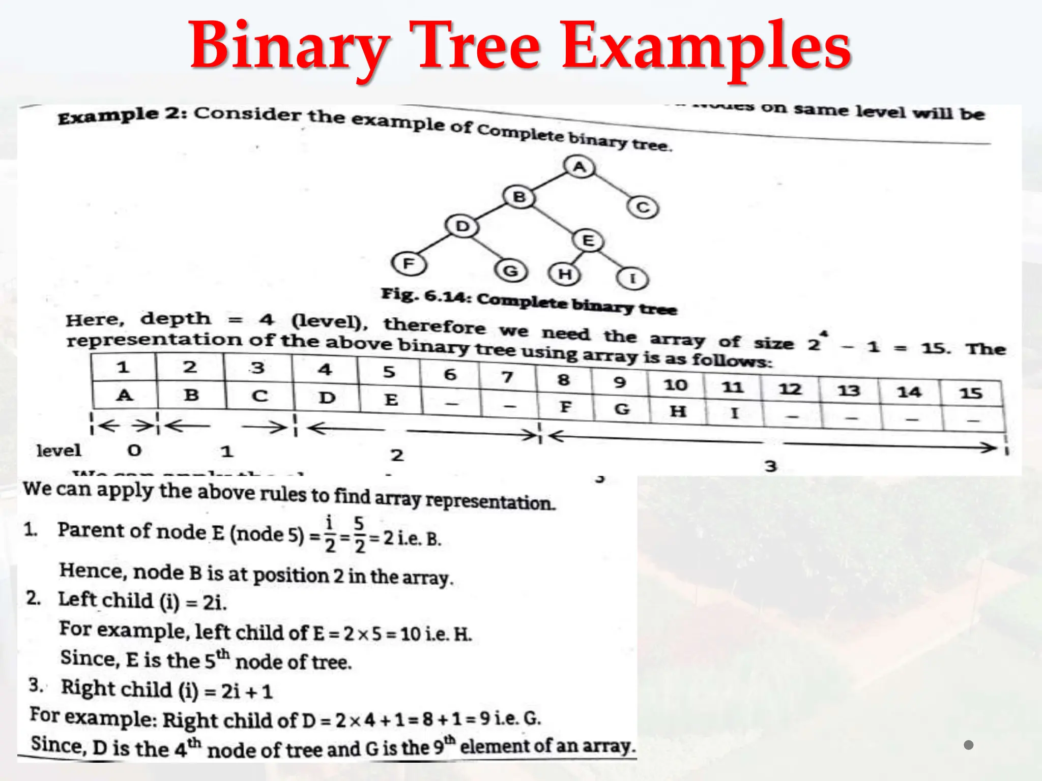 Binary Tree Examples
 