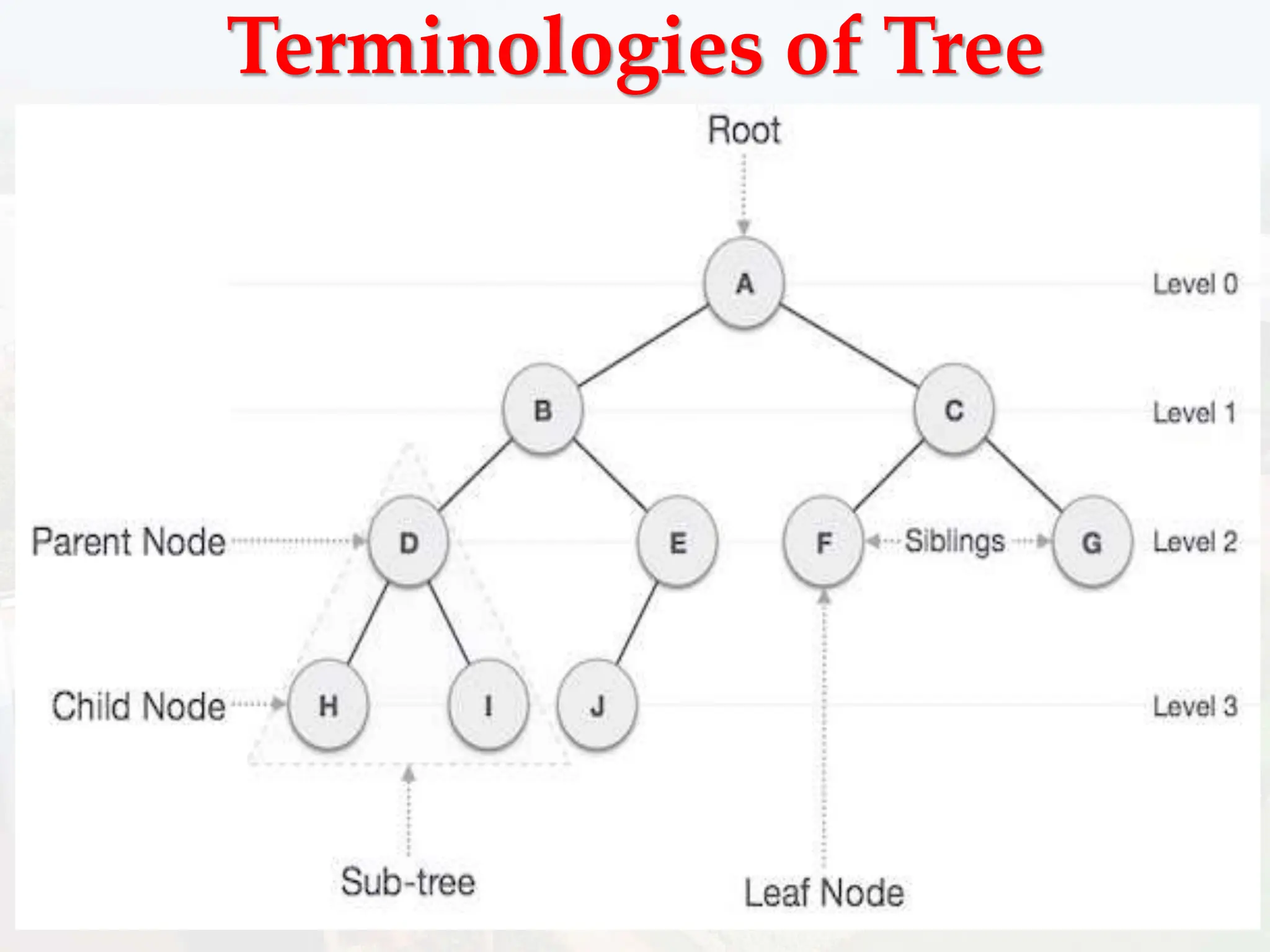 Terminologies of Tree
 