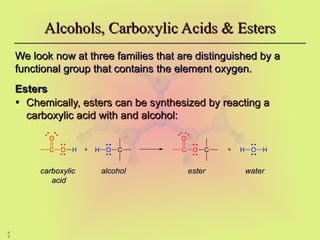 4
9
We look now at three families that are distinguished by a
We look now at three families that are distinguished by a
functional group that contains the element oxygen.
functional group that contains the element oxygen.
Esters
Esters
• Chemically, esters can be synthesized by reacting a
Chemically, esters can be synthesized by reacting a
carboxylic acid with and alcohol:
carboxylic acid with and alcohol:
Alcohols, Carboxylic Acids & Esters
Alcohols, Carboxylic Acids & Esters
carboxylic
carboxylic
acid
acid
alcohol
alcohol ester
ester water
water
C
O
O H H O C
+ C
O
O C H O
+ H
 