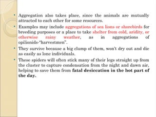 Aggregation Animal Example Unit-2-Interspecific and intraspecific interactions.ppt