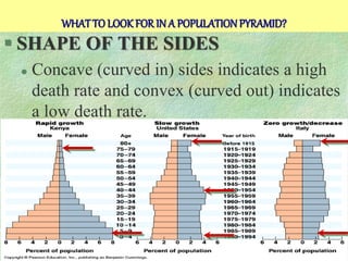 Unit - 2 2. Population pyramids.pptx