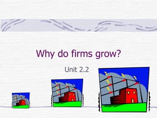 Why do firms grow? Unit 2.2 