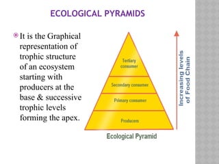 ECOLOGICAL PYRAMIDS
 It is the Graphical
representation of
trophic structure
of an ecosystem
starting with
producers at the
base & successive
trophic levels
forming the apex.
 
