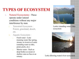 TYPES OF ECOSYSTEM
1. Natural Ecosystems : These
operate under natural
conditions without any major
interference by man.
i. Terrestrial Ecosystem :
Forest, grassland, desert,
etc.
ii. Aquatic Ecosystem :
a. Fresh water : Lotic
(running water like spring,
stream, or rivers) or Lentic
(standing water as lake,
pond, pools, etc.)
b. Marine water : Such as
deep bodies as ocean or
shallow ones as Sea or an
estuary.
Lentic (standing water) lake
ecosystem
Lotic (flowing water) river ecosystem
 
