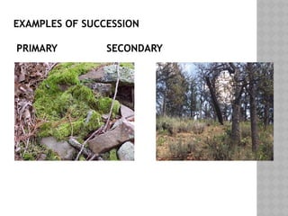 EXAMPLES OF SUCCESSION
PRIMARY SECONDARY
 