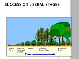 39
SUCCESSION : SERAL STAGES
 