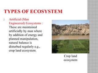TYPES OF ECOSYSTEM
2. Artificial (Man
Engineered) Ecosystems :
These are maintained
artificially by man where
by addition of energy and
planned manipulation,
natural balance is
disturbed regularly e.g.,
crop land ecosystem.
Crop land
ecosystem
 