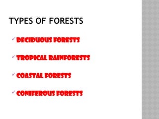 TYPES OF FORESTS
 Deciduous Forests
 Tropical Rainforests
 Coastal Forests
 Coniferous Forests
 