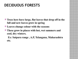 DECIDUOUS FORESTS
 Trees here have large, flat leaves that drop off in the
fall and new leaves grow in spring
 Leaves change colour with the seasons
 These grow in places with hot, wet summers and
cool, dry winters.
Ex: Satpura range , A.P, Telangana, Maharashtra
etc.
 