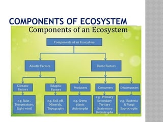 COMPONENTS OF ECOSYSTEM
 