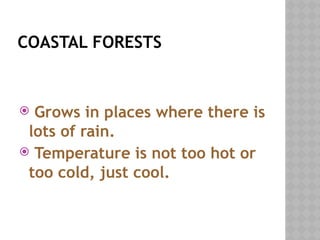 COASTAL FORESTS
 Grows in places where there is
lots of rain.
 Temperature is not too hot or
too cold, just cool.
 