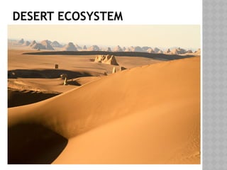 DESERT ECOSYSTEM
 