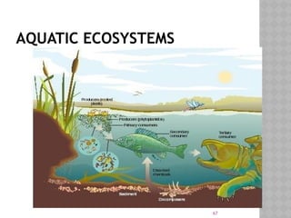67
AQUATIC ECOSYSTEMS
 