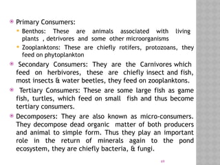 69
 Primary Consumers:
 Benthos: These are animals associated with living
plants , detrivores and some other microorganisms
 Zooplanktons: These are chiefly rotifers, protozoans, they
feed on phytoplankton
 Secondary Consumers: They are the Carnivores which
feed on herbivores, these are chiefly insect and fish,
most insects & water beetles, they feed on zooplanktons.
 Tertiary Consumers: These are some large fish as game
fish, turtles, which feed on small fish and thus become
tertiary consumers.
 Decomposers: They are also known as micro-consumers.
They decompose dead organic matter of both producers
and animal to simple form. Thus they play an important
role in the return of minerals again to the pond
ecosystem, they are chiefly bacteria, & fungi.
 