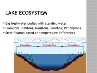 70
LAKE ECOSYSTEM
 Big freshwater bodies with standing water
 Planktons, Nektons, Neustons, Benthos, Periphytons
 Stratification based on temperature differences
 