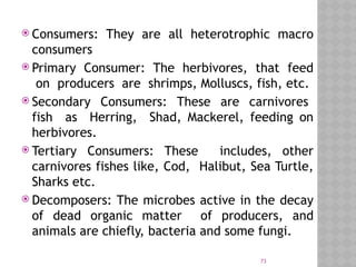 73
 Consumers: They are all heterotrophic macro
consumers
 Primary Consumer: The herbivores, that feed
on producers are shrimps, Molluscs, fish, etc.
 Secondary Consumers: These are carnivores
fish as Herring, Shad, Mackerel, feeding on
herbivores.
 Tertiary Consumers: These includes, other
carnivores fishes like, Cod, Halibut, Sea Turtle,
Sharks etc.
 Decomposers: The microbes active in the decay
of dead organic matter of producers, and
animals are chiefly, bacteria and some fungi.
 