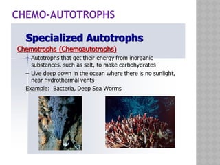CHEMO-AUTOTROPHS
 