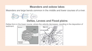 Meanders and oxbow lakes
Meanders are large bends common in the middle and lower courses of a river.
Deltas, Levees and Flood plains
Deltas form in the lower course, where the velocity decreases, resulting in the deposition of
sediment.
 