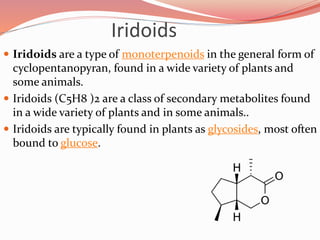 Iridoids
 Iridoids are a type of monoterpenoids in the general form of
cyclopentanopyran, found in a wide variety of plants and
some animals.
 Iridoids (С5Н8 )2 are a class of secondary metabolites found
in a wide variety of plants and in some animals..
 Iridoids are typically found in plants as glycosides, most often
bound to glucose.
 
