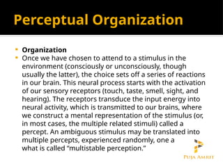 Perceptual Organization
 Organization
 Once we have chosen to attend to a stimulus in the
environment (consciously or unconsciously, though
usually the latter), the choice sets off a series of reactions
in our brain. This neural process starts with the activation
of our sensory receptors (touch, taste, smell, sight, and
hearing). The receptors transduce the input energy into
neural activity, which is transmitted to our brains, where
we construct a mental representation of the stimulus (or,
in most cases, the multiple related stimuli) called a
percept. An ambiguous stimulus may be translated into
multiple percepts, experienced randomly, one at a time, in
what is called “multistable perception.”
 