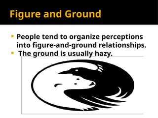 Figure and Ground
 People tend to organize perceptions
into figure-and-ground relationships.
 The ground is usually hazy.
 