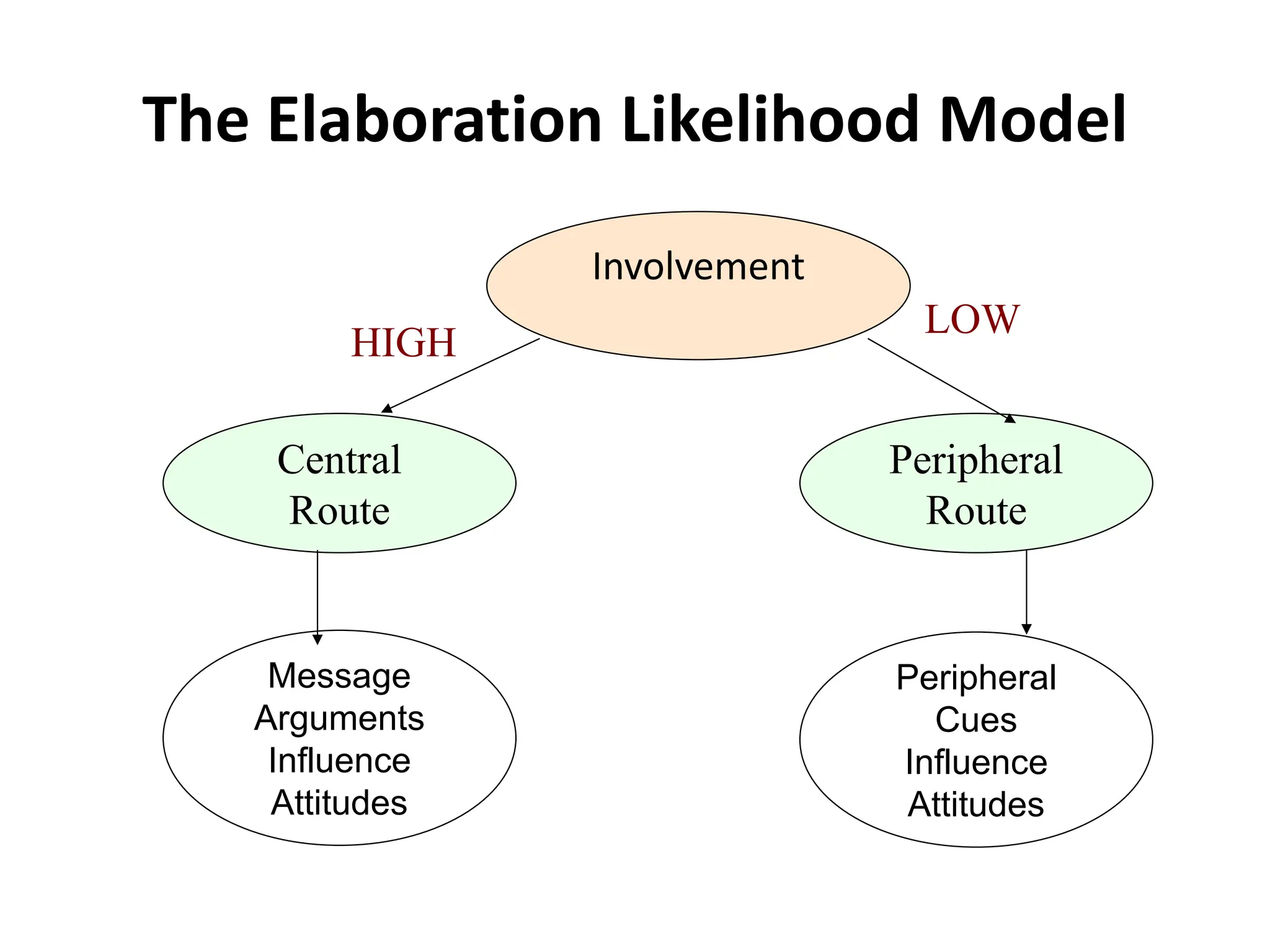 The Elaboration Likelihood Model
Involvement
Central
Route
Peripheral
Route
Message
Arguments
Influence
Attitudes
Peripheral
Cues
Influence
Attitudes
HIGH
LOW
 