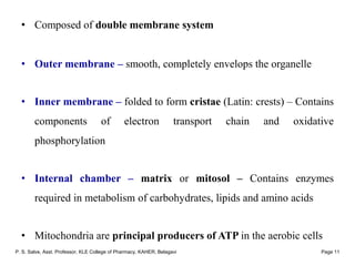 Cell and Transport Processes Across Cell Membrane | PDF