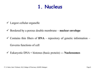 Cell and Transport Processes Across Cell Membrane | PDF