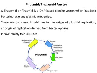 Phasmid/Phagemid Vector
A Phagemid or Phasmid is a DNA-based cloning vector, which has both
bacteriophage and plasmid properties.
These vectors carry, in addition to the origin of plasmid replication,
an origin of replication derived from bacteriophage.
It have mainly two ORI sites.
 