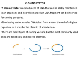 CLONING VECTOR
•A cloning vector is a small piece of DNA that can be stably maintained
in an organism, and into which a foreign DNA fragment can be inserted
for cloning purposes.
•The cloning vector may be DNA taken from a virus, the cell of a higher
organism, or it may be the plasmid of a bacterium.
•There are many types of cloning vectors, but the most commonly used
ones are genetically engineered plasmids.
 
