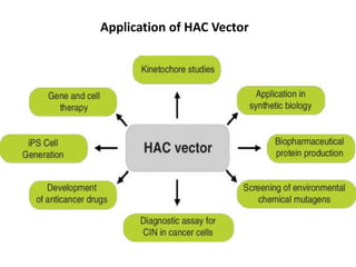 Application of HAC Vector
 