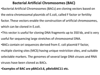 Bacterial Artificial Chromosomes (BAC)
•Bacterial Artificial Chromosomes (BACs) are cloning vectors based on
the extra-chromosomal plasmids of E.coli, called F factor or fertility
factor. These vectors enable the construction of artificial chromosomes,
which can be cloned in E.coli.
•This vector is useful for cloning DNA fragments up to 350 kb, and is very
useful for sequencing large stretches of chromosomal DNA.
•BACs contain ori sequences derived from E. coli plasmid F factor,
multiple cloning sites (MCS) having unique restriction sites, and suitable
selectable markers. The genomes of several large DNA viruses and RNA
viruses have been cloned as BACs.
•Examples of BAC are pBACe3.6, pBeloBAC11 etc.
 