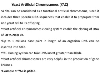 Yeast Artificial Chromosomes (YAC)
•A YAC can be considered as a functional artificial chromosome, since it
includes three specific DNA sequences that enable it to propagate from
one yeast cell to its offspring.
•Yeast artificial Chromosomes cloning system enable the cloning of DNA
of 50 to 2000 kb.
•Up to 1 millions base pairs in length of an organism DNA can be
inserted into YACs.
•YAC cloning system can take DNA insert greater than l00kb.
•Yeast artificial chromosomes are very helpful in the production of gene
libraries.
•Example of YAC is pYACs.
 