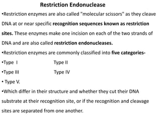 Restriction Endonuclease
•Restriction enzymes are also called "molecular scissors" as they cleave
DNA at or near specific recognition sequences known as restriction
sites. These enzymes make one incision on each of the two strands of
DNA and are also called restriction endonucleases.
•Restriction enzymes are commonly classified into five categories-
•Type I Type II
•Type III Type IV
• Type V.
•Which differ in their structure and whether they cut their DNA
substrate at their recognition site, or if the recognition and cleavage
sites are separated from one another.
 