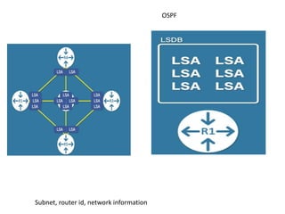 Subnet, router id, network information
OSPF
 