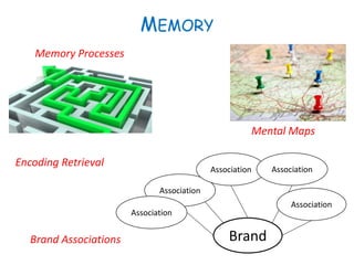 MEMORY
Brand Associations
Mental Maps
Memory Processes
Encoding Retrieval
Brand
Association
Association
Association
Association
Association
 