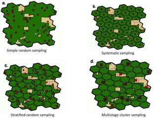 Simple random sampling
Systematic sampling
Stratified random sampling Multistage cluster sampling
 