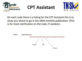 CPT Assistant
 